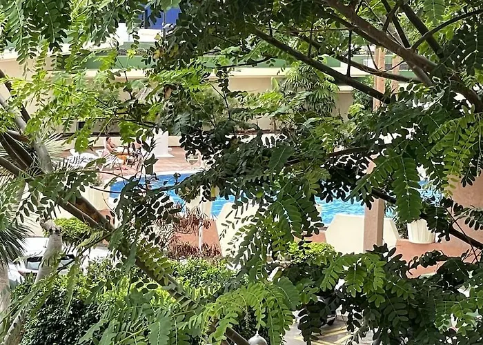 Apartment Paraiso Del Sol Costa Adeje (Tenerife)